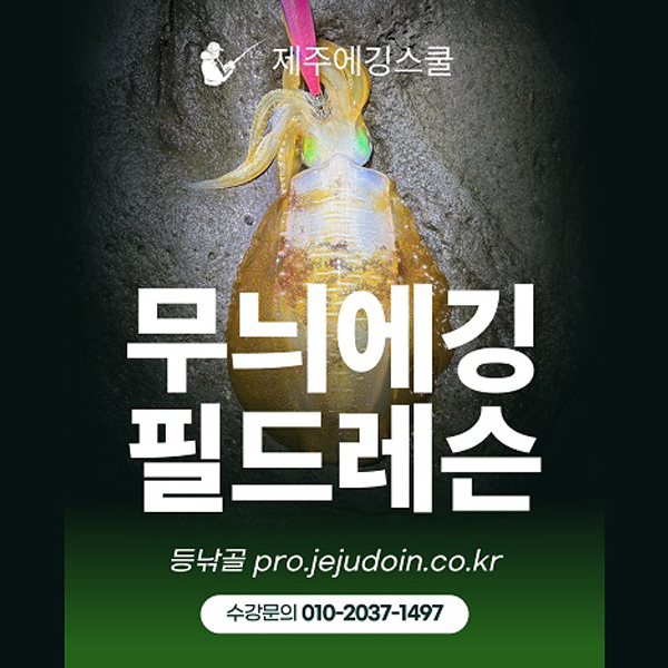 제주도 무늬오징어 에깅낚시 에깅입문 초보자를 위한 에깅레슨(강습) 제주에깅스쿨 필드레슨 수강권