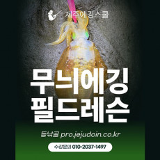 제주도 무늬오징어 에깅낚시 에깅입문 초보자를 위한 에깅레슨(강습) 제주에깅스쿨 필드레슨 수강권