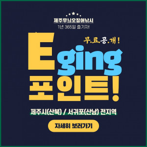 제주도 무늬오징어 에깅 낚시 시즌 에깅포인트 무료공개 안내