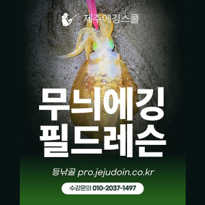 제주도 무늬오징어 에깅낚시 에깅입문 초보자를 위한 2인 에깅레슨(강습) 제주에깅스쿨 필드레슨 수강권